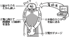 電磁波による骨のゆがみが急増中