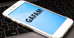 好きなだけ農奴を支配できる。そう、GAFAMならね