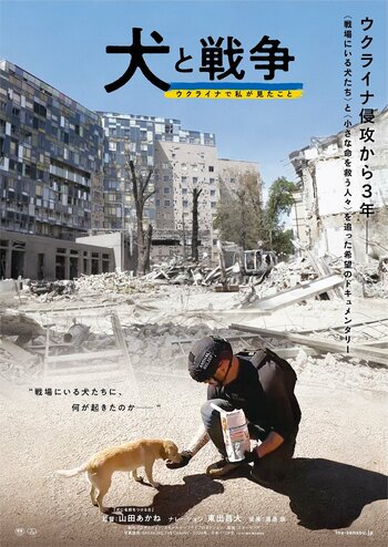 映画『犬と戦争 ウクライナで私が見たこと』、山田あかね監督インタビュー。なぜ戦地で犬や猫を助けるのか。なぜその映画を撮ったのか。