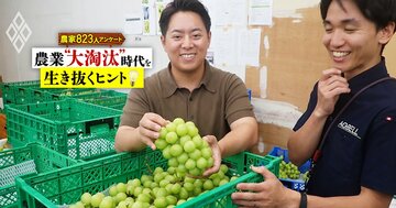 【中小キラリ農家ランキング・ベスト21】最大4億円を1ヘクタールで売り上げる秘訣とは？リンゴ、ブドウ、メロンなどで利益利10～53％を達成した農家が14人も！