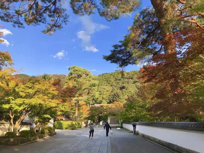 永観堂の参道