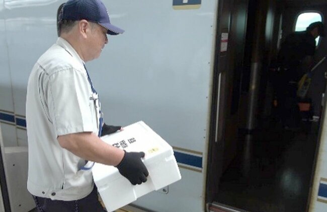 くら寿司がJRとタッグ、「新幹線で運ぶ」石鯛、薩摩かんぱち…朝〆鮮魚すしは一皿いくら？