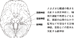 それでもやる気にこだわると「不整脈」に