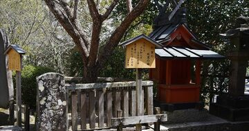 【変な偉人】女性になりきって日記を書いたおじいさんの「平安時代の超有名ヒット本」とは？