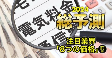 電気代を値下げする電力会社はどこ?新車価格はまだ上がる?【24年「8つの価格」を記者が先読み!前編】