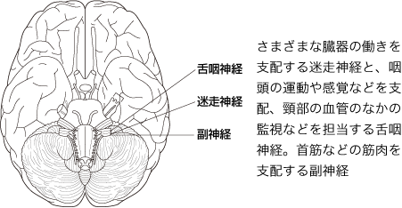 それでもやる気にこだわると「不整脈」に