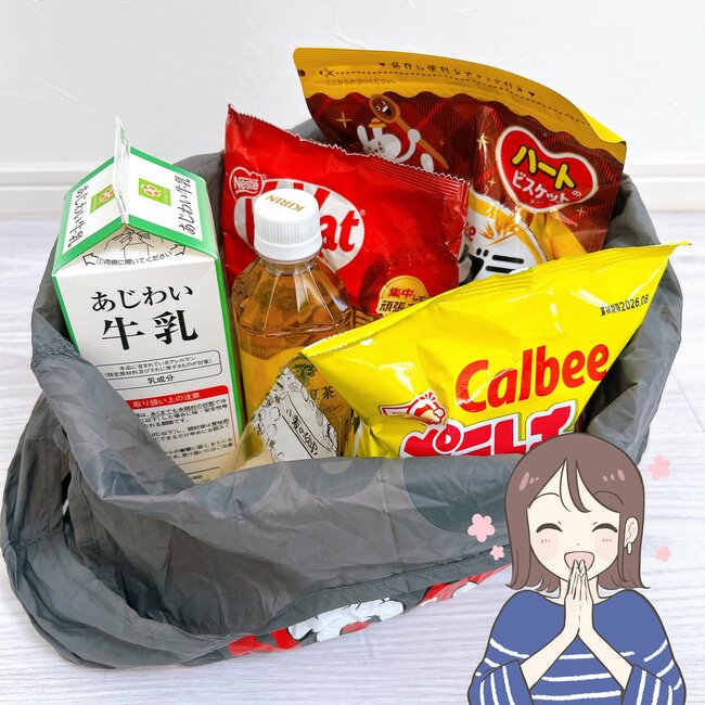 「全部欲しいです」ダイソー姉妹店×ディズニーの“畳まなくていいエコバッグ”レトロかわいいミッキーがたまらん…！「大人も持ち歩きやすい」「日常使いしやすそう」