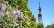 観光で行きたい市区町村ランキング2020【ベスト50・完全版】