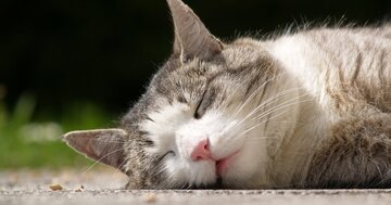 当たり前だけど結局、いちばん簡単で科学的なストレス発散方法とは?