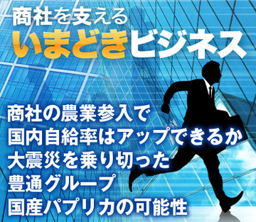 商社の農業参入で国内自給率はアップできるか大震災を乗り切った豊通グループ国産パプリカの可能性