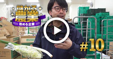 農産物の外食向け卸の「ノウハウ提供」を始めた老舗卸、コロナ禍でも超強気な理由【動画】