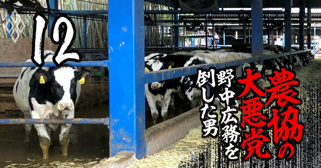 農協の大悪党＃12・泰宏農場で飼われている乳牛