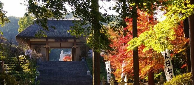 外国人観光客にまだバレてない?穴場の紅葉スポット6選【国内旅行におすすめ】