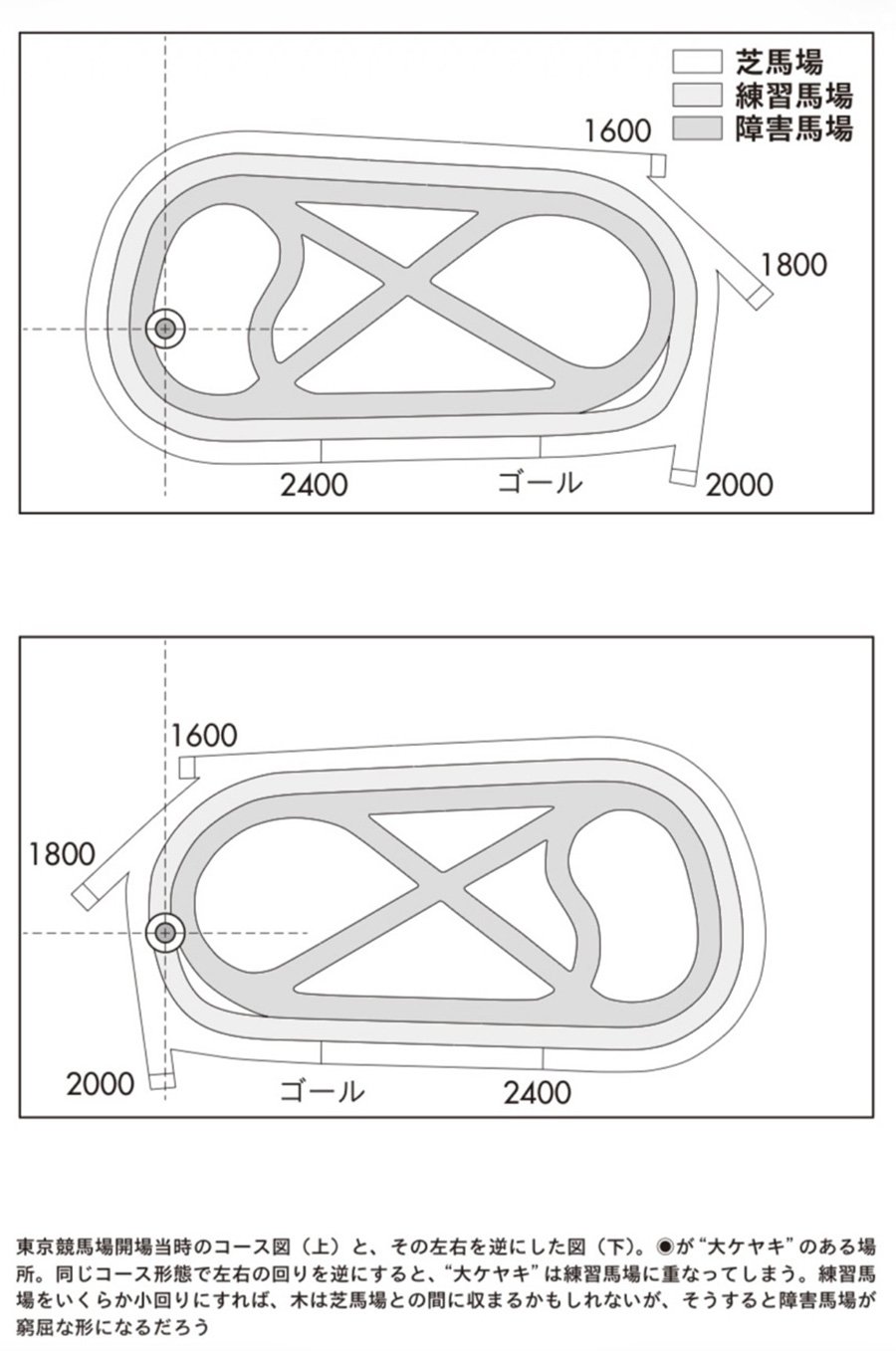図：東京競馬場開場当時のコース図（上）と、その左右を逆にした図（下）