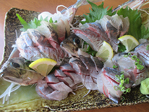 漁獲量8割減の町を救った 大トロあじ の奇跡 魚食王国ニッポン 元気をつくる 浜のめし 池田陽子 ダイヤモンド オンライン