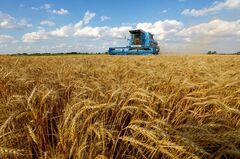 ウクライナ穀物生産、23年度は15％減＝ソルスキー農相