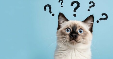 「また仕事のことを考えてる…」休む前にしておきたい小さな工夫