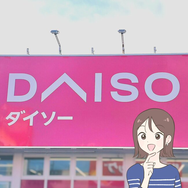 万能すぎて何個でも欲しい！ダイソーで見つけた“220円ケース”が家中で大活躍！