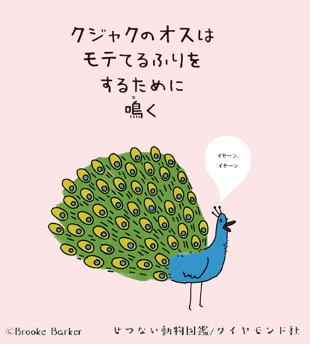 好きなメスの口にゲロを流しこむ鳥…恋模様がせつない動物ベスト3
