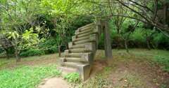 【戦後79年】千葉県の公園に残る「奇妙な階段」、その悲しすぎる目的とは〈写真付き〉