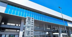40代タイミーおじさんが豊洲市場でスキマバイト！魚を仕分けながら“円安の波”を痛感したワケ
