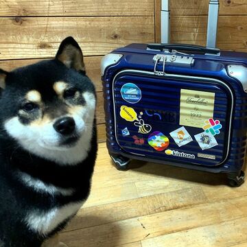 快適＆便利！ 海外旅行にマストなデジタルガジェット