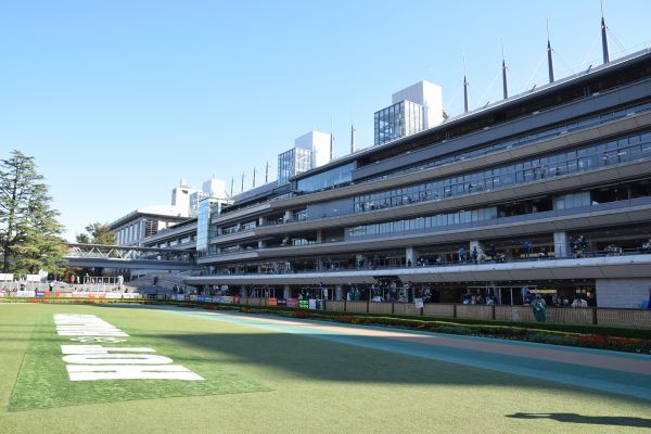 パドック内から見た景色