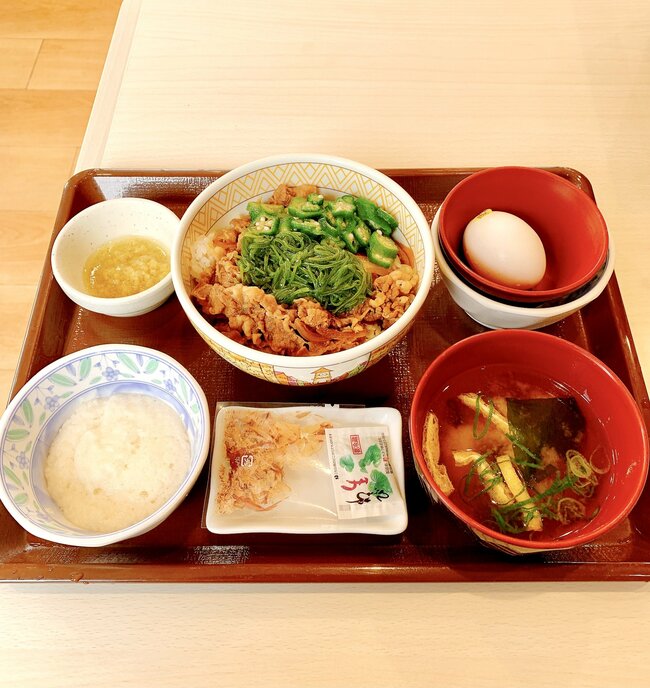「この世で一番うまい食いもん」「年中売ってほしい」すき家の“豪快どんぶり”具材たっぷりで贅沢すぎる！「カオスな感じが嬉しい」