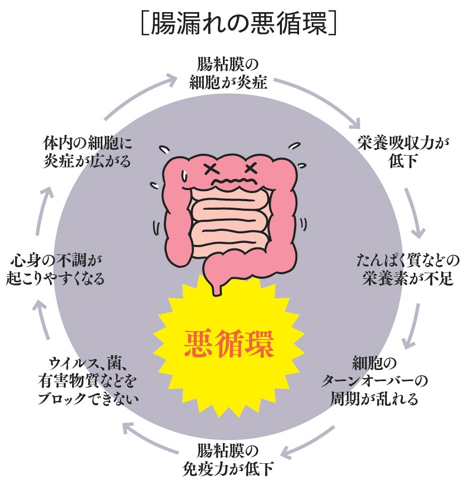 図表:腸漏れの悪循環