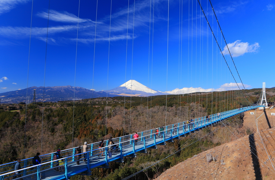 なぜ静岡県は富士山 餃子以外で他県と争わないのか 知ったら住みたくなるケンミン性 ダイヤモンド オンライン