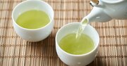 「緑茶は体に良い」を科学的根拠から徹底解剖！紅茶・烏龍茶との違いも