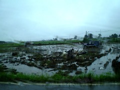 地震の活動期に入った日本。これから私たちがやっておくべきこととは