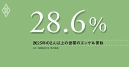 飲食料品の消費税減税、「税込み価格引き下げ」に疑問符、野党は政府に説明求めよ