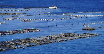 養殖漁業を「救世主化」するマスコミが報じない不都合な事実