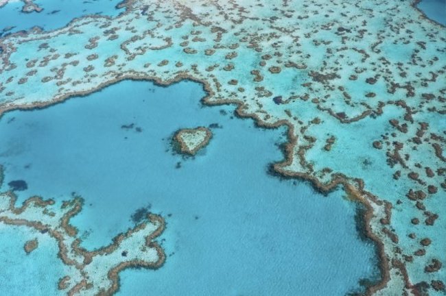 グレートバリアリーフの珊瑚礁は空から見ても絶景