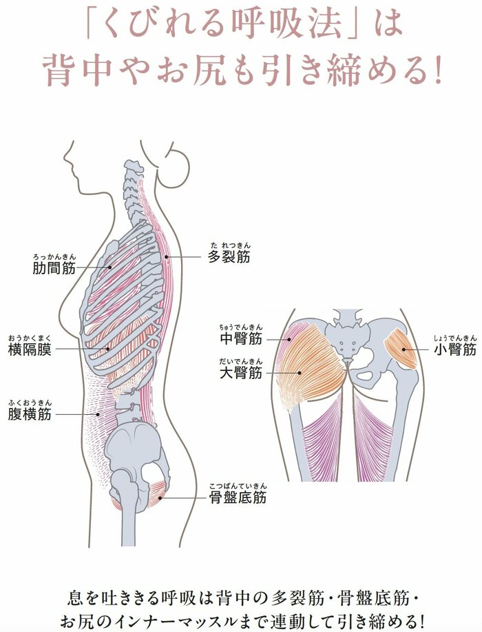 「くびれる呼吸法」は背中やお尻も引き締める!