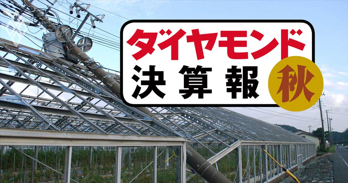 東京電力HDが過去最大の「台風」特損118億円、泣きっ面に蜂【決算報19秋】