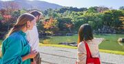 【冬の日本庭園】訪日外国人ガイドの目線から再発見する名庭園風景の眺め方と感じ方