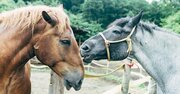 「おもしろい人が撮る写真はおもしろい」写真とビジネスに共通するAI時代を生き抜く鍵とは？