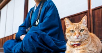 【漫画】「ガマンしてる人」は思い上がったうぬぼれ屋?仏教の教えが胸にグサっときた…