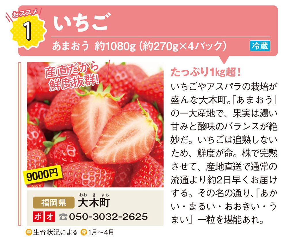 福岡県大木町のいちご
