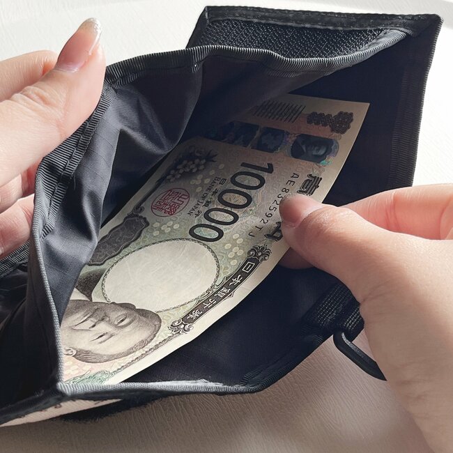 カードが17枚も入った！ニコアンドの“おしゃれミニ財布”手のひらサイズなのに収納力すごい！「ちょうどいいサイズ感」「ものすごく使いやすい」