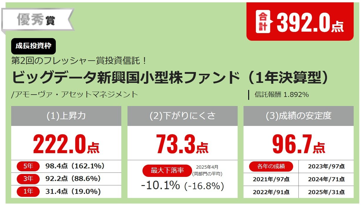 ビッグデータ新興国小型株ファンド（1年決算型）