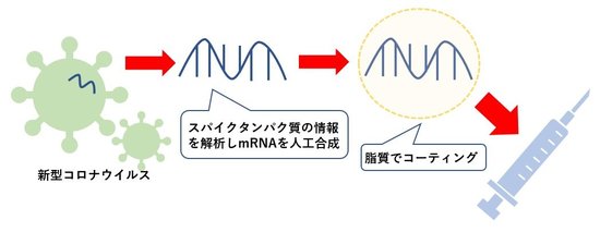 mRNAワクチンの仕組み