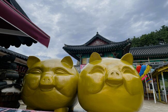 韓国・釜山で絶対行きたい！世界一高い場所のスタバ、願いが叶う最強パワースポット…