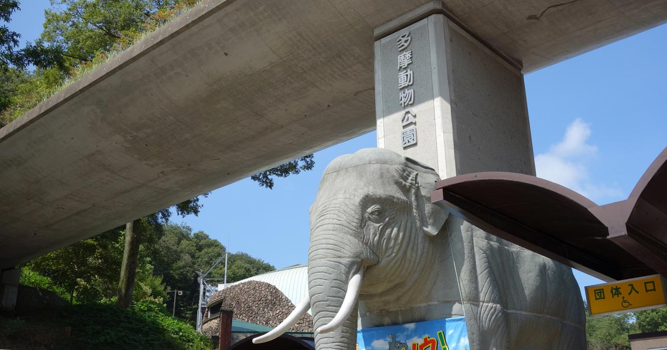 日野市,小学校
