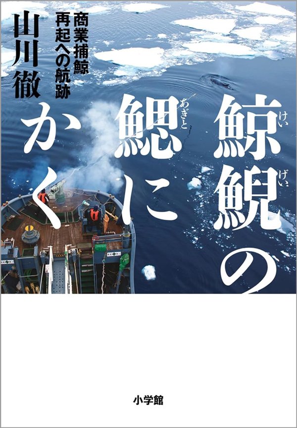 未成熟の小さなクジラまで…「捕鯨一筋」の男が明かした調査捕鯨の「虚しさ」とは？