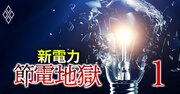 新電力「経営危険度」ランキング【22年冬版・67社】3位エナリス、1位は？