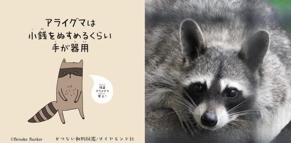 東武動物公園で生まれた「ジャスティン・ビーバー」ってナニ者？