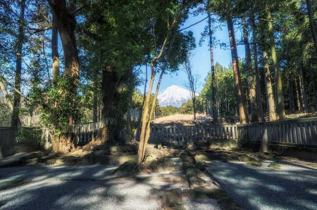 富士山麓を守る3神社を巡る「開運の旅」に出よう！オリジナル御朱印帳も注目